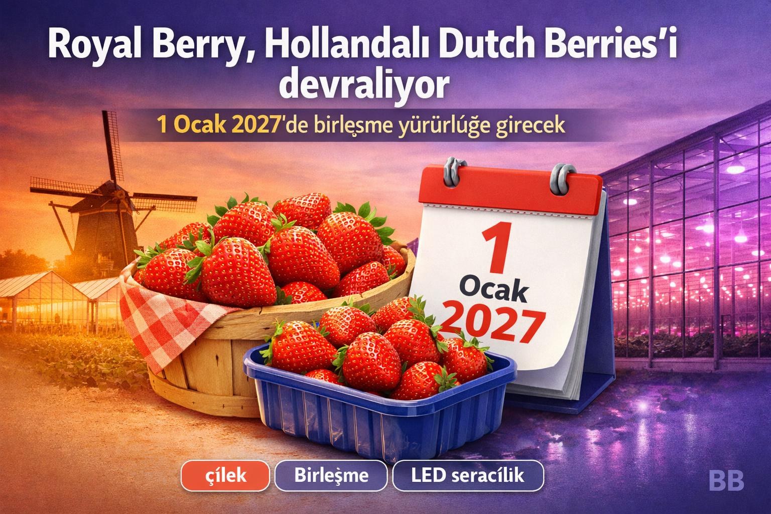 Royal Berry, Hollandalı Dutch Berries’i devralıyor — 1 Ocak 2027'de birleşme yürürlüğe girecek görseli