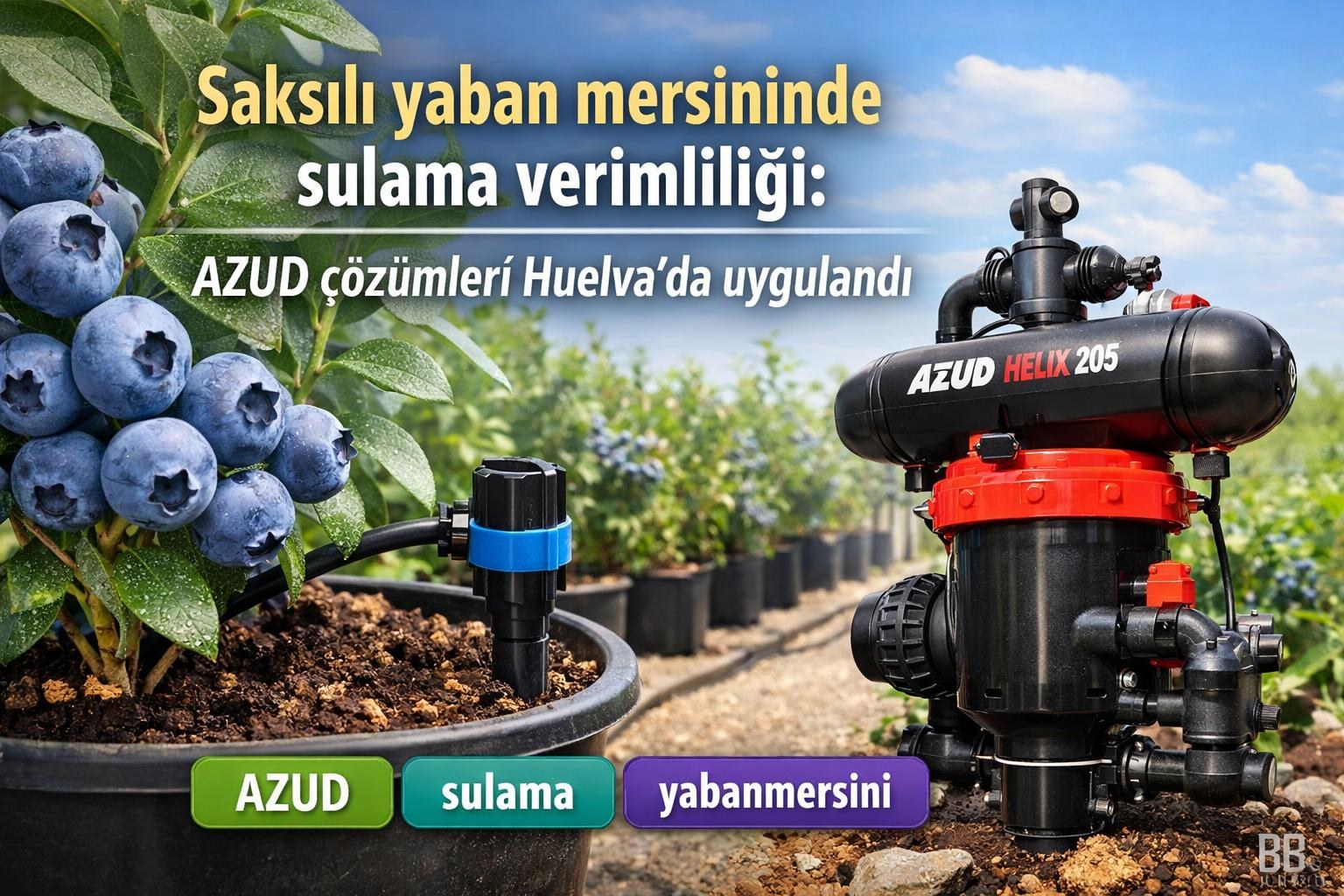 Saksılı yaban mersininde sulama verimliliği: AZUD çözümleri Huelva'da uygulandı görseli
