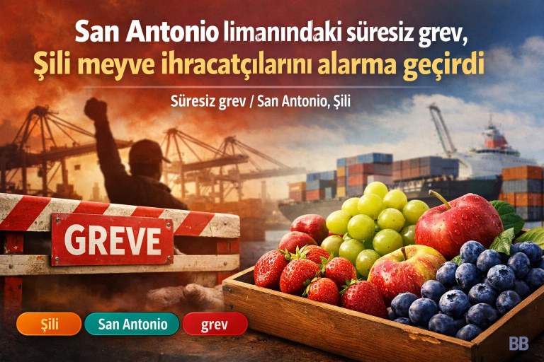 San Antonio limanındaki süresiz grev, Şili meyve ihracatçılarını alarma geçirdi görseli