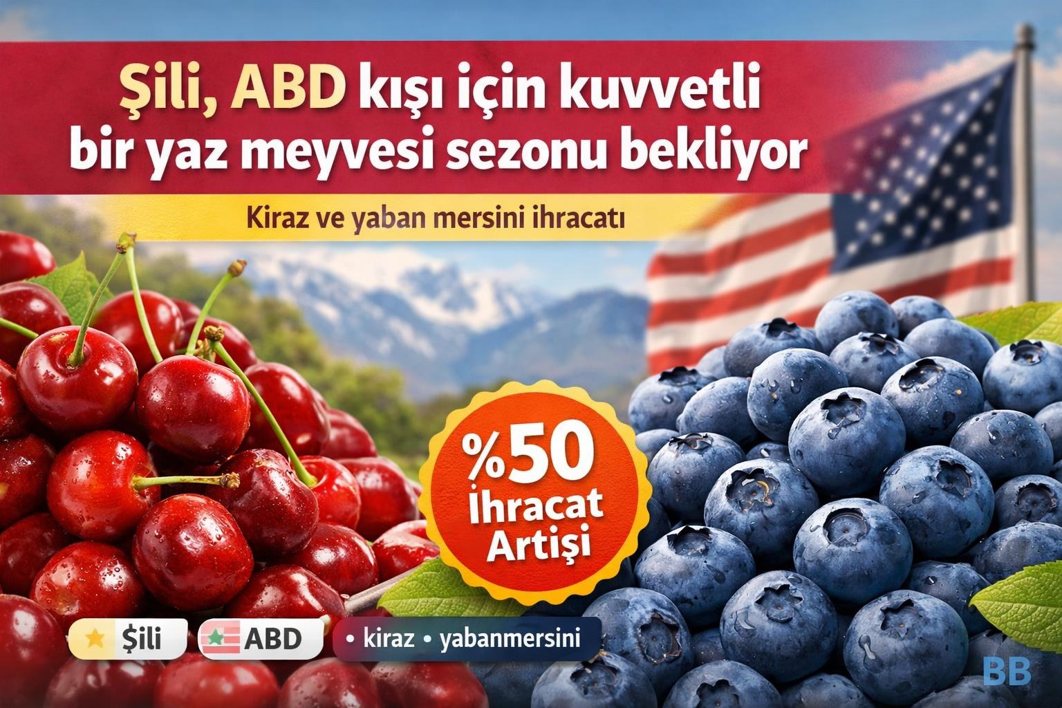 Şili, ABD kışı için kuvvetli bir yaz meyvesi sezonu bekliyor görseli
