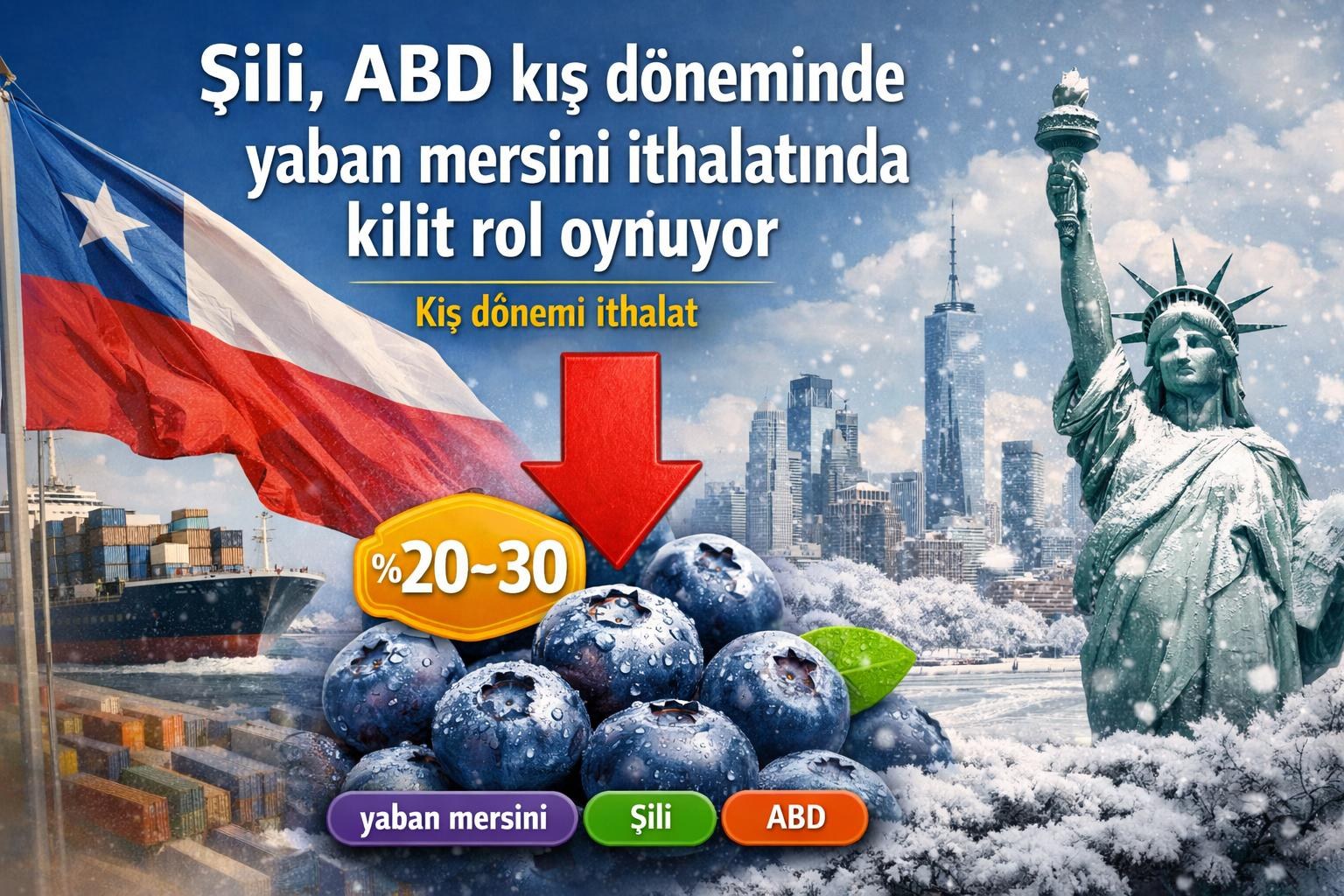 Şili, ABD kış döneminde yaban mersini ithalatında kilit rol oynuyor gorseli