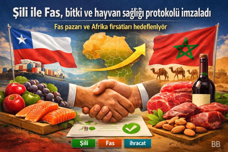 Şili ile Fas, bitki ve hayvan sağlığı protokolü imzaladı — Fas pazarı ve Afrika fırsatları hedefleniyor görseli