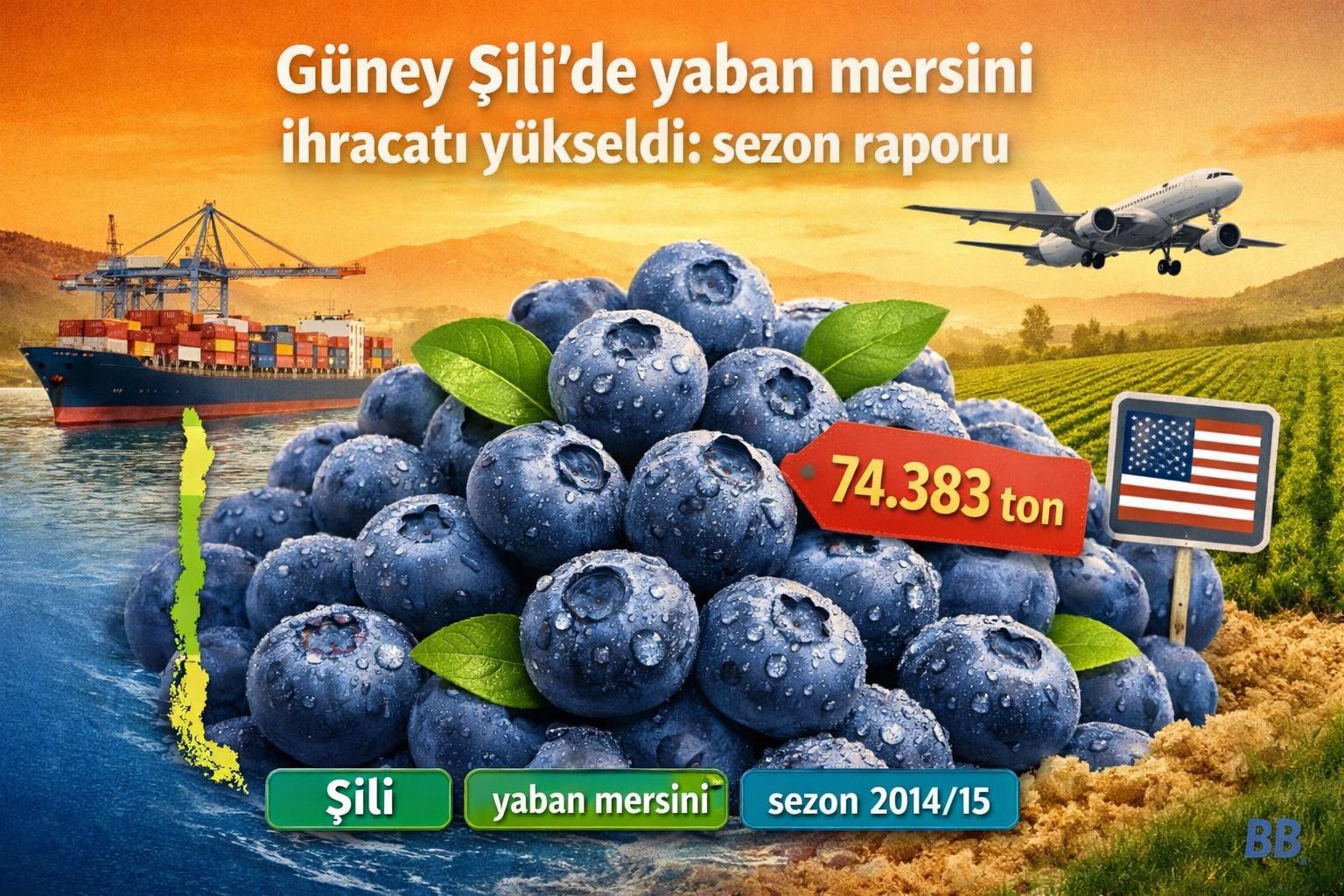Şili’nin güney bölgelerinden artan yaban mersini ihracatı: sezon verileri ve bölgesel farklılıklar görseli