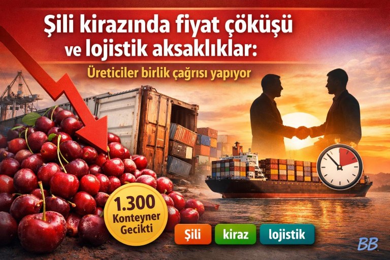 Şili kirazında fiyat çöküşü ve lojistik aksaklıklar: Üreticiler birlik çağrısı yapıyor görseli