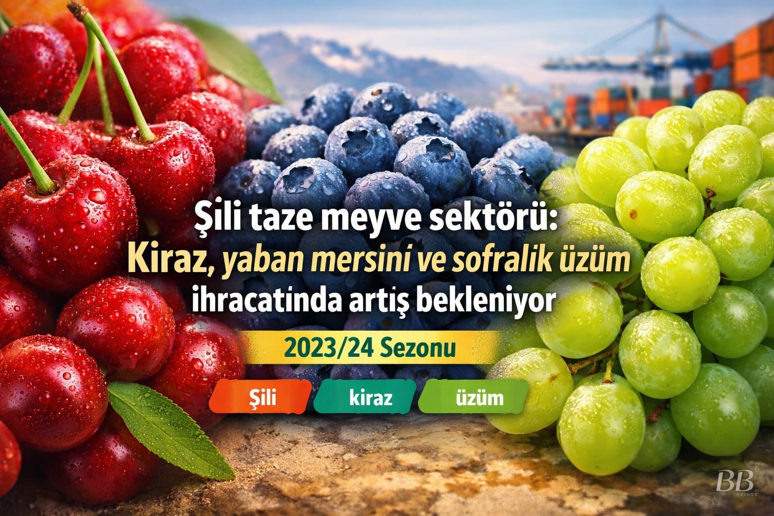 Şili taze meyve sektörü: Kiraz, yaban mersini ve sofralık üzüm ihracatında artış bekleniyor görseli