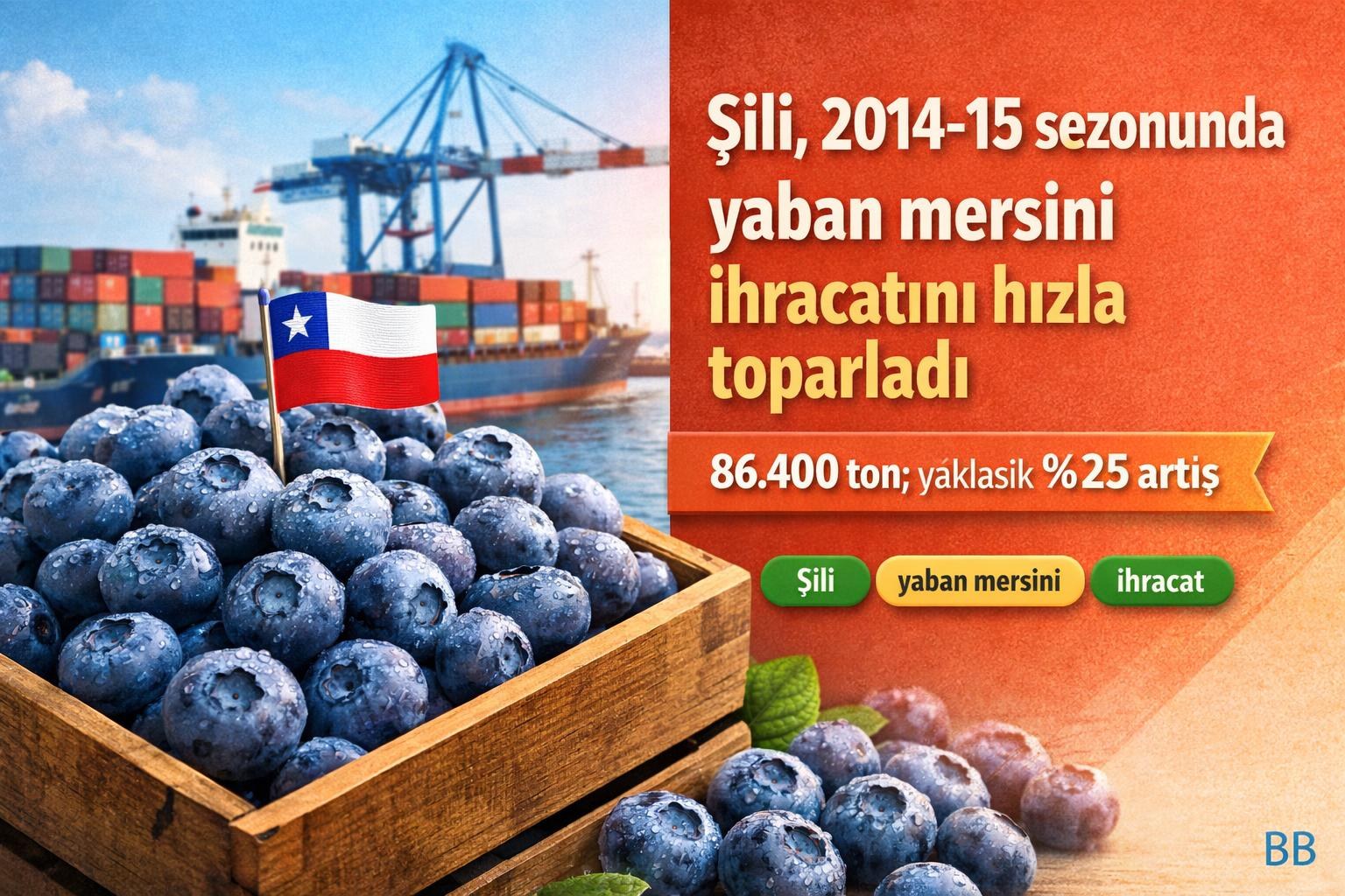 Şili, 2014-15 sezonunda yaban mersini ihracatını hızla toparladı görseli