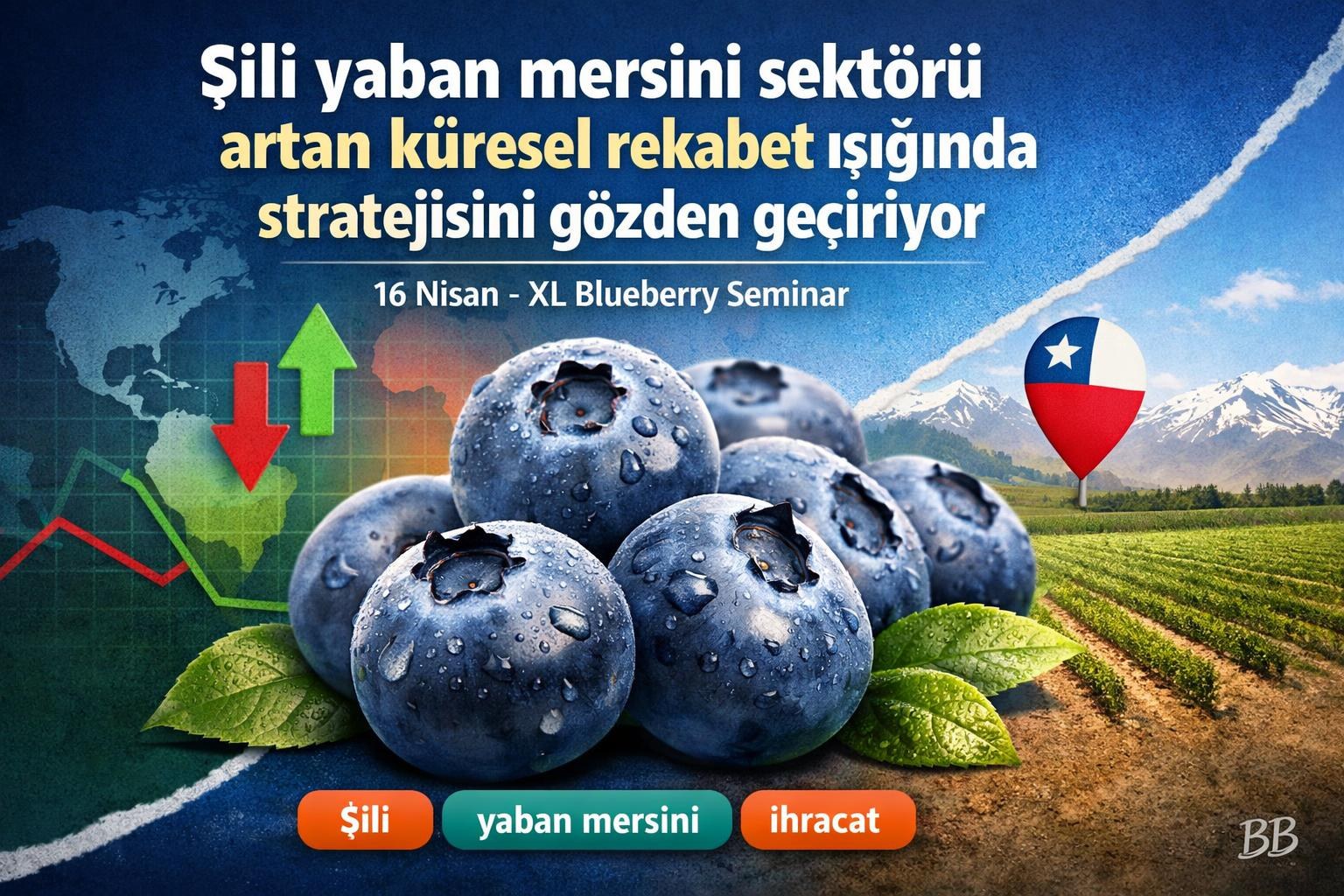Şili yaban mersini sektörü artan küresel rekabet ışığında stratejisini gözden geçiriyor gorseli