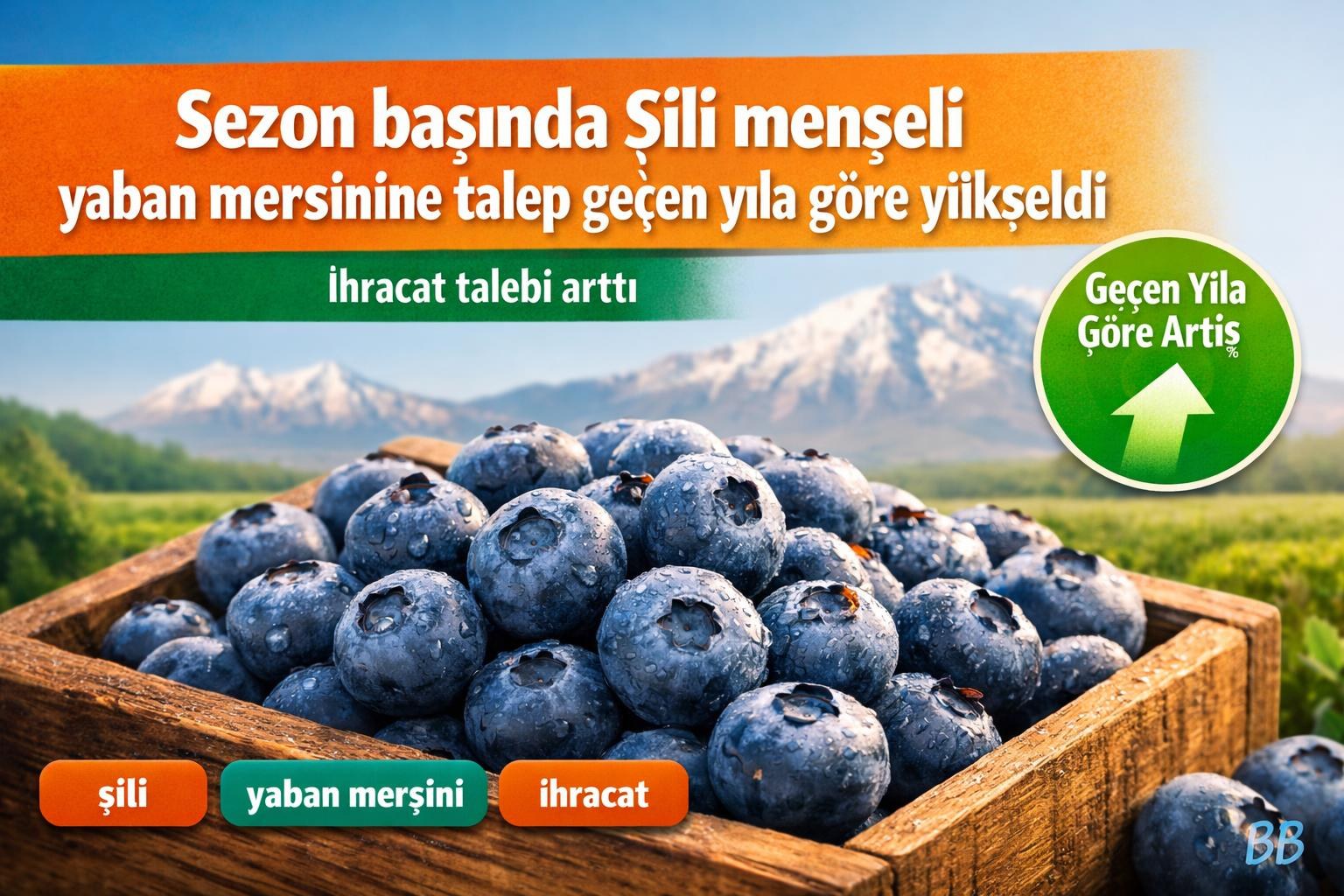 Sezon başında Şili menşeli yaban mersinine talep geçen yıla göre yükseldi görseli