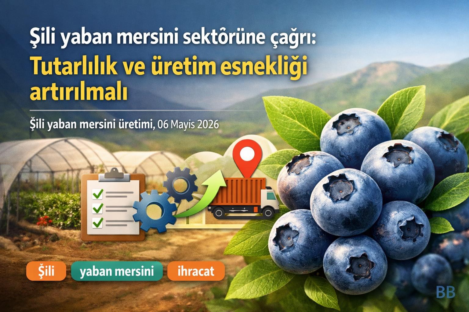 Şili yaban mersini sektörüne çağrı: Tutarlılık ve üretim esnekliği artırılmalı gorseli