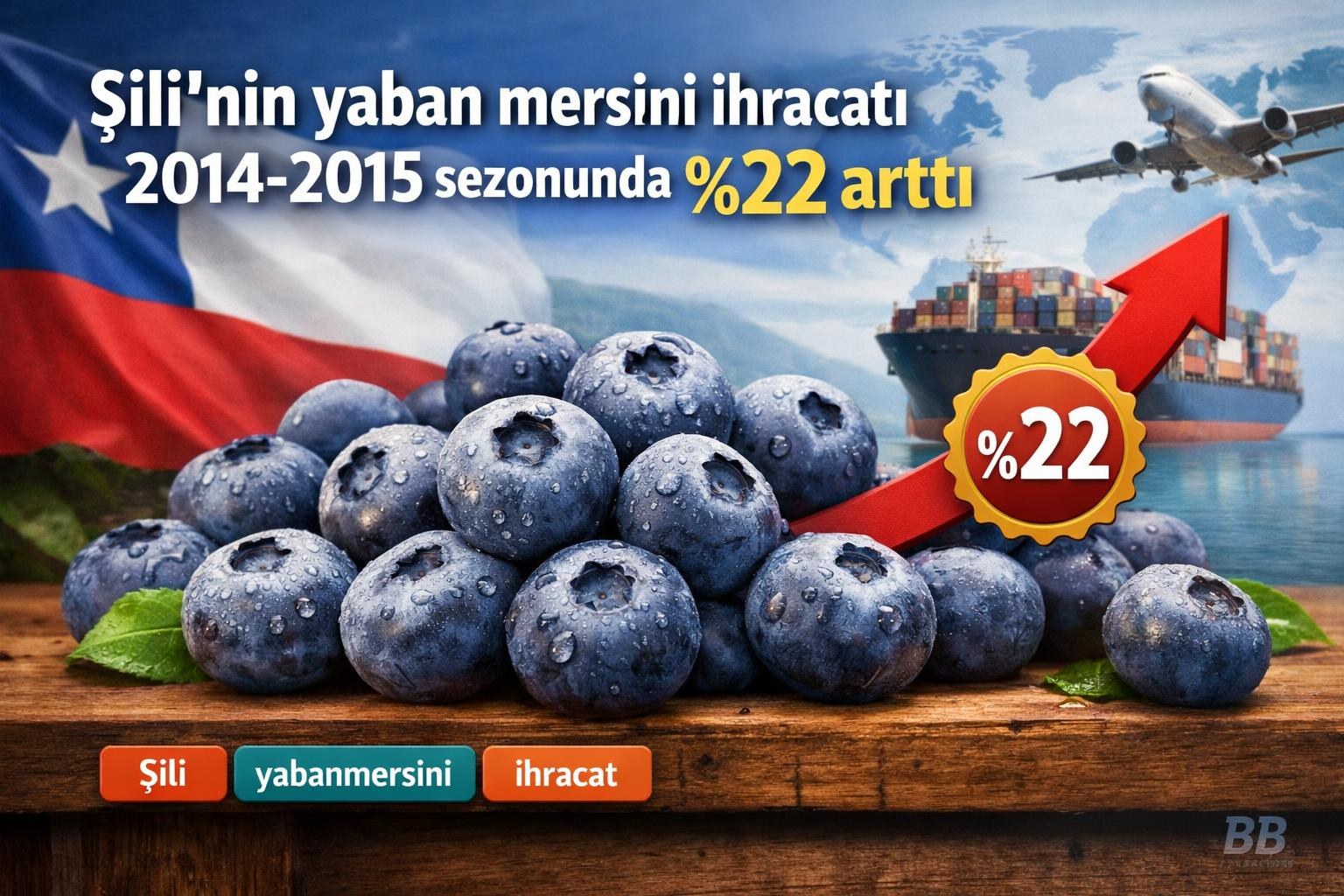 Şili’nin yaban mersini ihracatı 2014-2015 sezonunda %22 arttı görseli