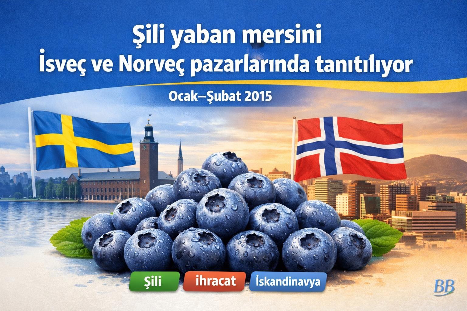 Şili yaban mersini İsveç ve Norveç pazarlarında tanıtılıyor görseli