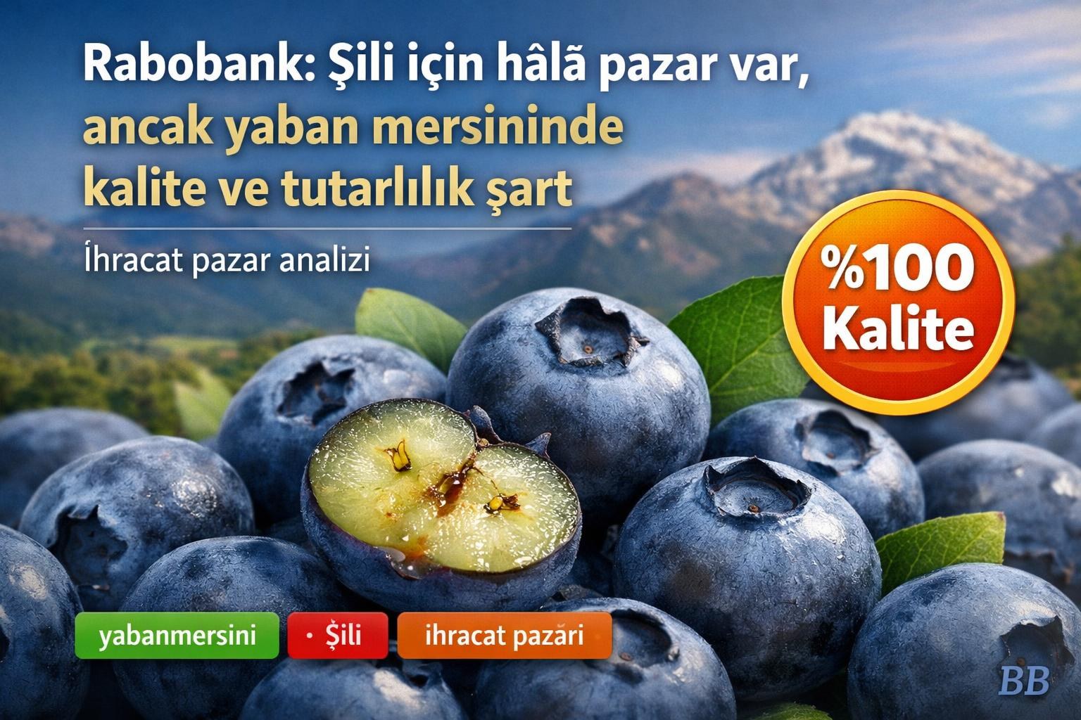 Rabobank: Şili için hâlâ pazar var, ancak yaban mersininde kalite ve tutarlılık şart görseli