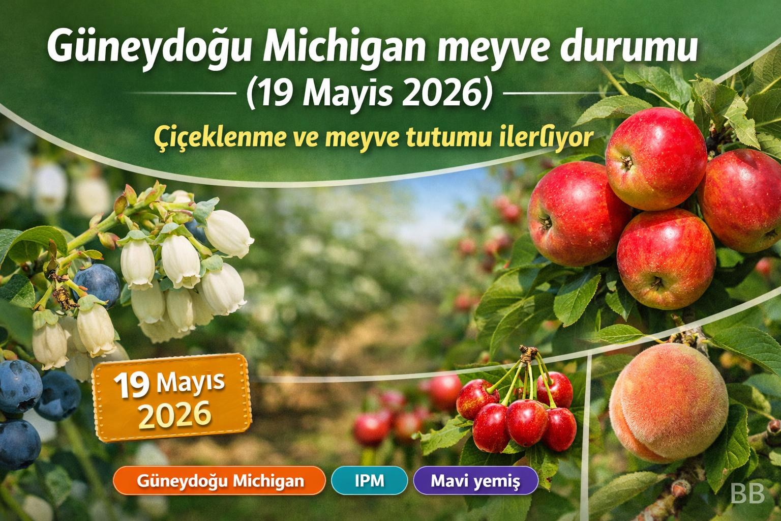 Güneydoğu Michigan meyve durumu (19 Mayıs 2026): Çiçeklenme ve meyve tutumu ilerliyor görseli