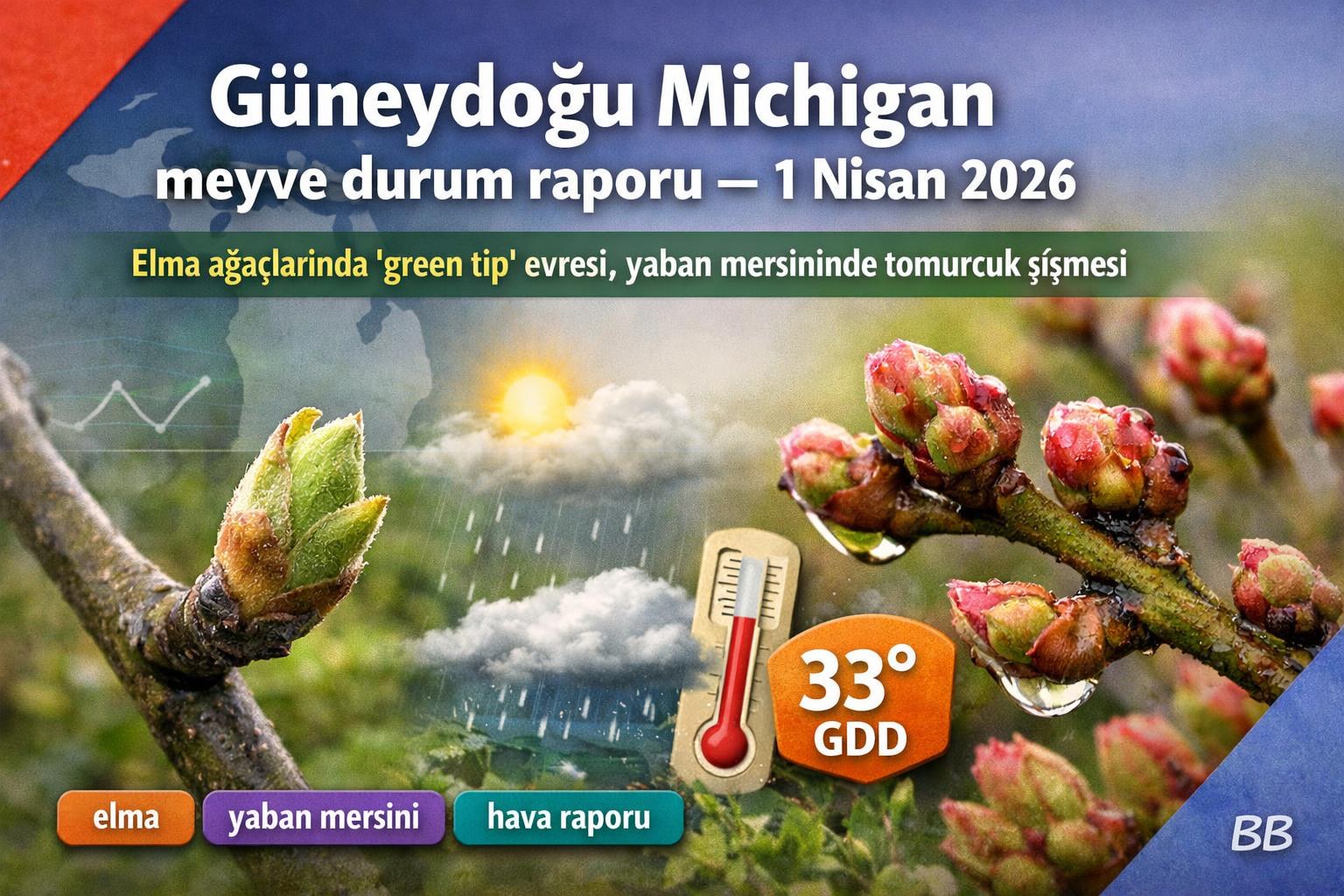 Güneydoğu Michigan meyve durum raporu — 1 Nisan 2026 görseli