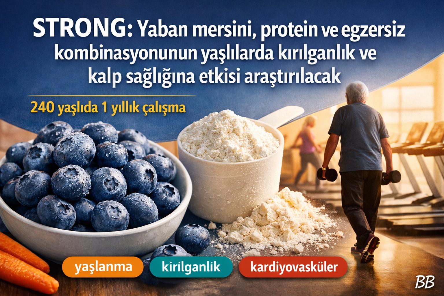 STRONG: Yaban mersini, protein ve egzersiz kombinasyonunun yaşlılarda kırılganlık ve kalp sağlığına etkisi araştırılacak gorseli