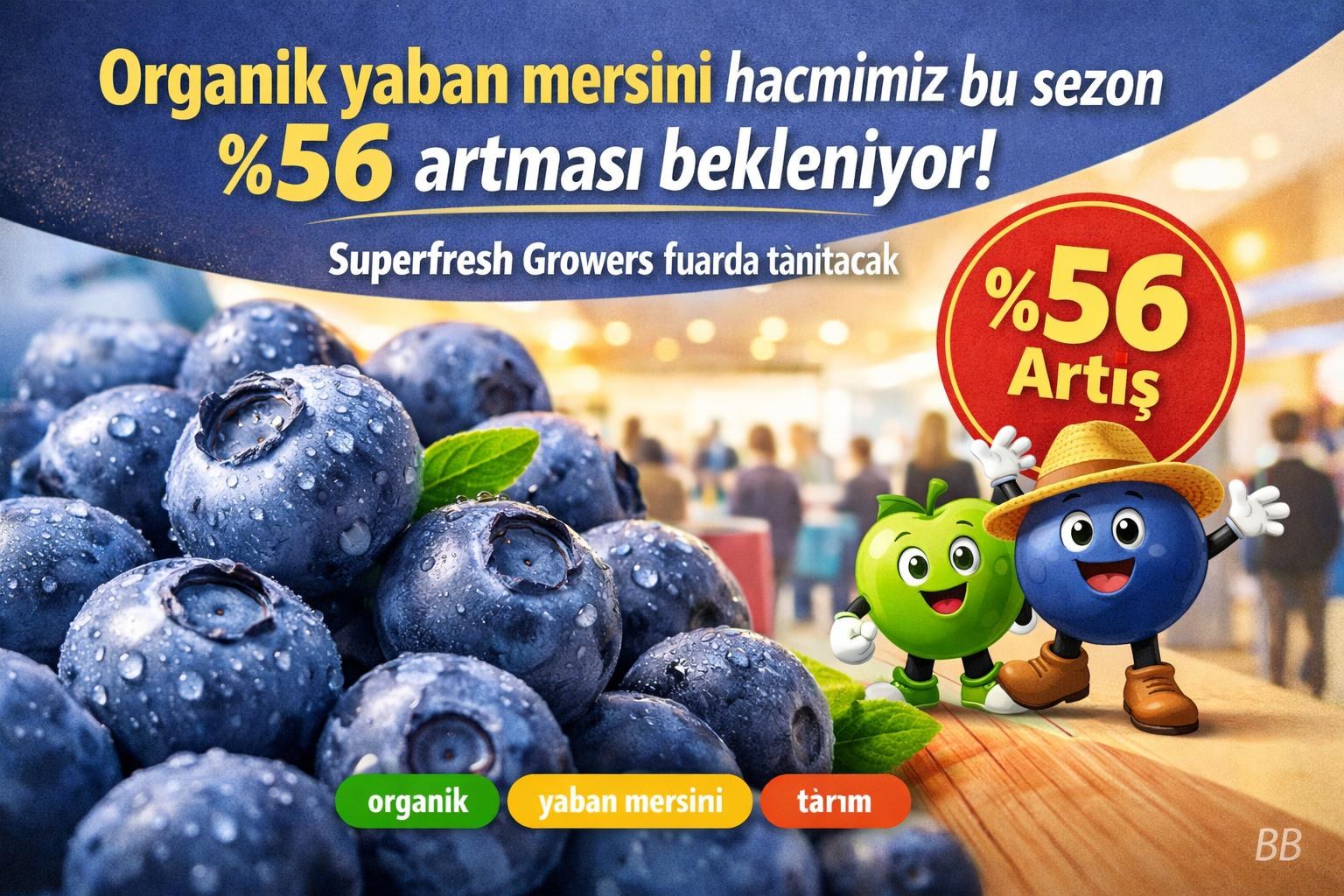 Organik yaban mersini hacmimiz bu sezon %56 artması bekleniyor; Superfresh Growers fuarda tanıtacak gorseli
