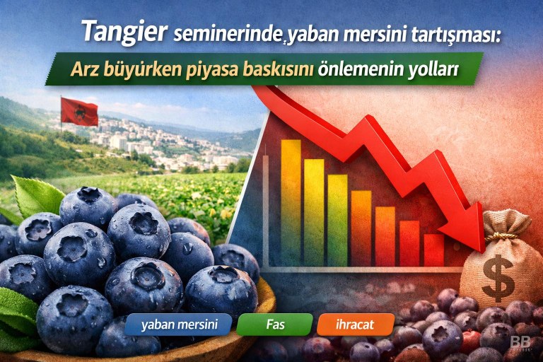 Tangier seminerinde yaban mersini tartışması: Arz büyürken piyasa baskısını önlemenin yolları görseli