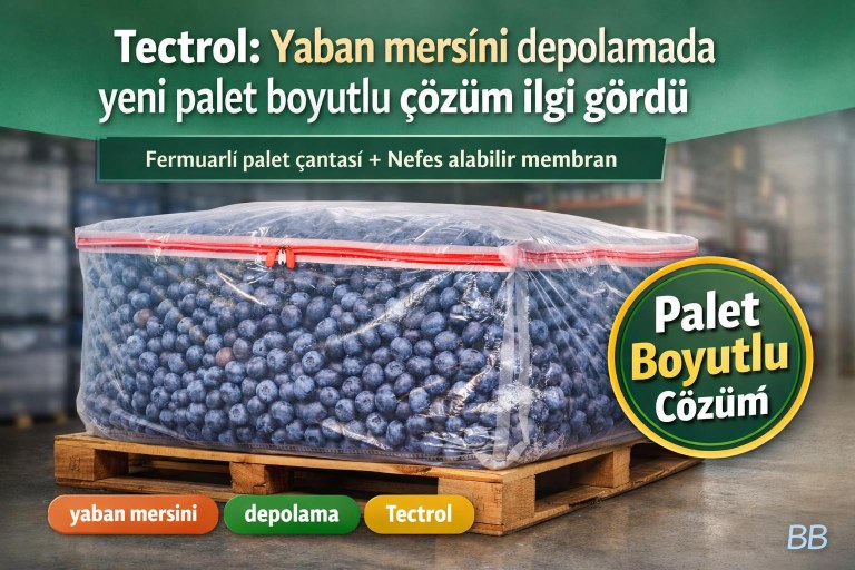 Tectrol: Yaban mersini depolamada yeni palet boyutlu çözüm ilgi gördü görseli