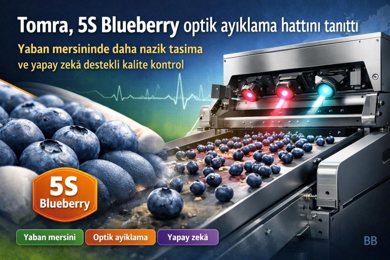 Tomra, 5S Blueberry optik ayıklama hattını tanıttı: Yaban mersininde daha nazik taşıma ve yapay zekâ destekli kalite kontrol görseli
