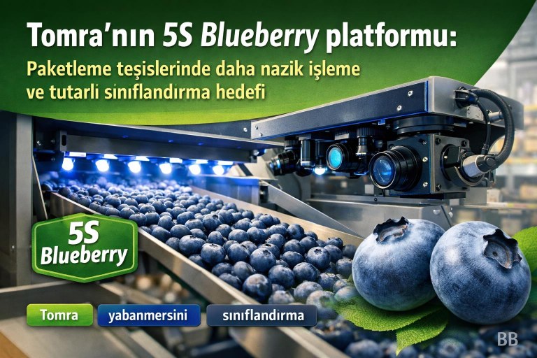 Tomra'nın 5S Blueberry platformu: Paketleme tesislerinde daha nazik işleme ve tutarlı sınıflandırma hedefi görseli