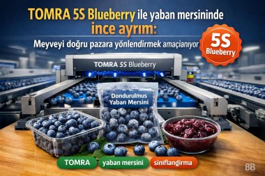 TOMRA 5S Blueberry ile yaban mersininde ince ayrım: meyveyi doğru pazara yönlendirmek amaçlanıyor görseli