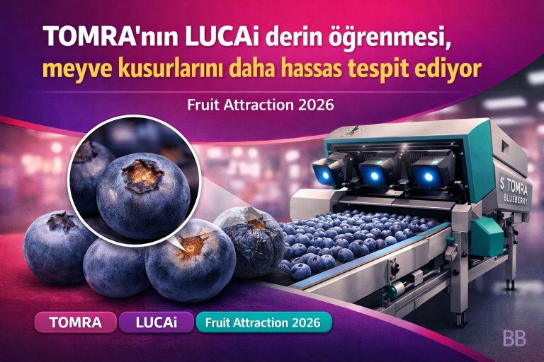 TOMRA'nın LUCAi derin öğrenmesi, meyve kusurlarını daha hassas tespit ediyor görseli