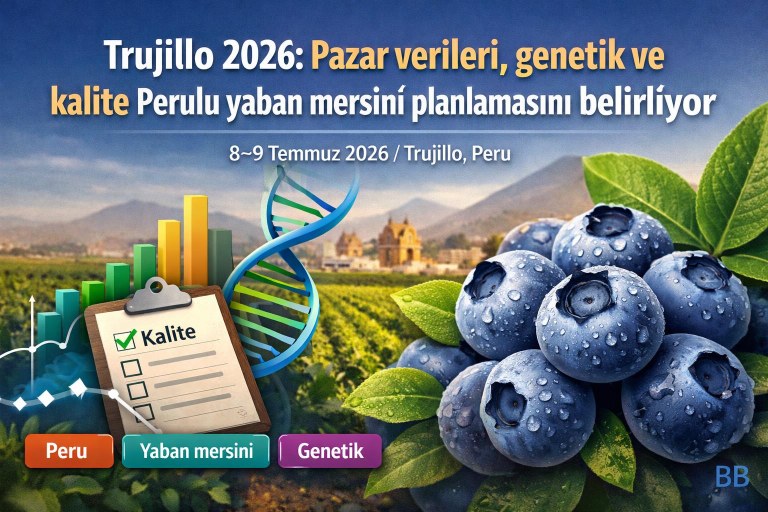 Trujillo 2026: Pazar verileri, genetik ve kalite Perulu yaban mersini planlamasını belirliyor görseli