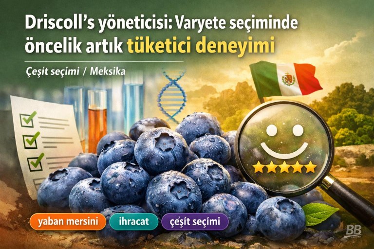 Driscoll’s yöneticisi: Varyete seçiminde öncelik artık tüketici deneyimi görseli