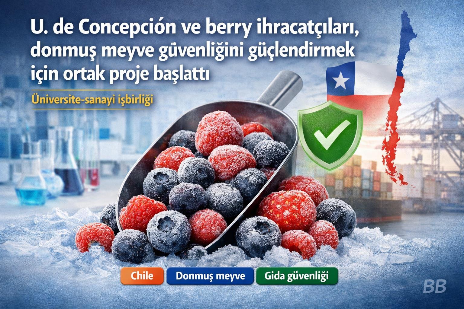 U. de Concepción ve berry ihracatçıları, donmuş meyve güvenliğini güçlendirmek için ortak proje başlattı görseli