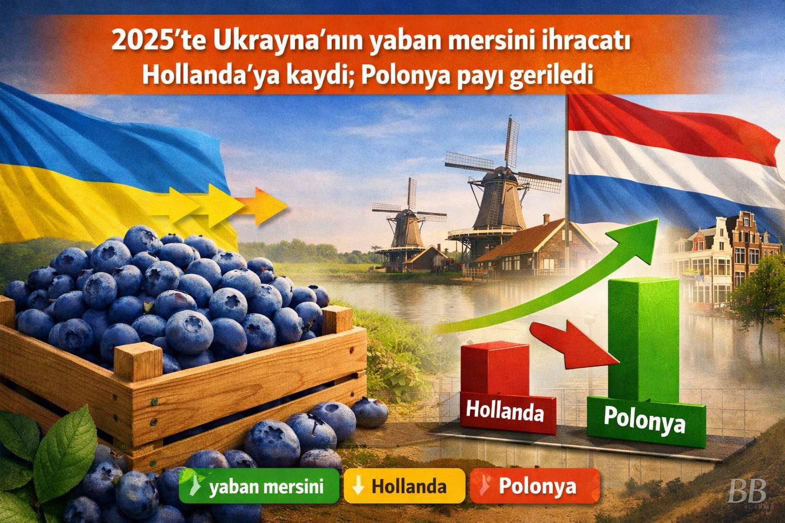 2025'te Ukrayna'nın yaban mersini ihracatı Hollanda'ya kaydı; Polonya payı geriledi görseli