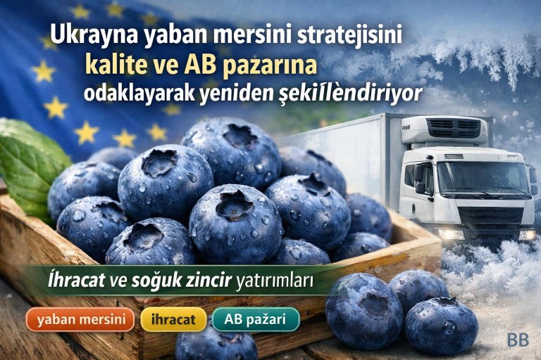Ukrayna yaban mersini stratejisini kalite ve AB pazarına odaklayarak yeniden şekillendiriyor görseli