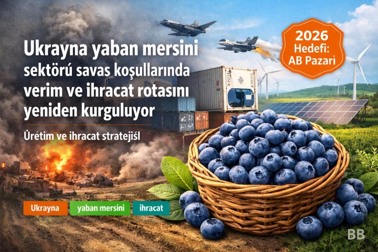 Ukrayna yaban mersini sektörü savaş koşullarında verim ve ihracat rotasını yeniden kurguluyor görseli
