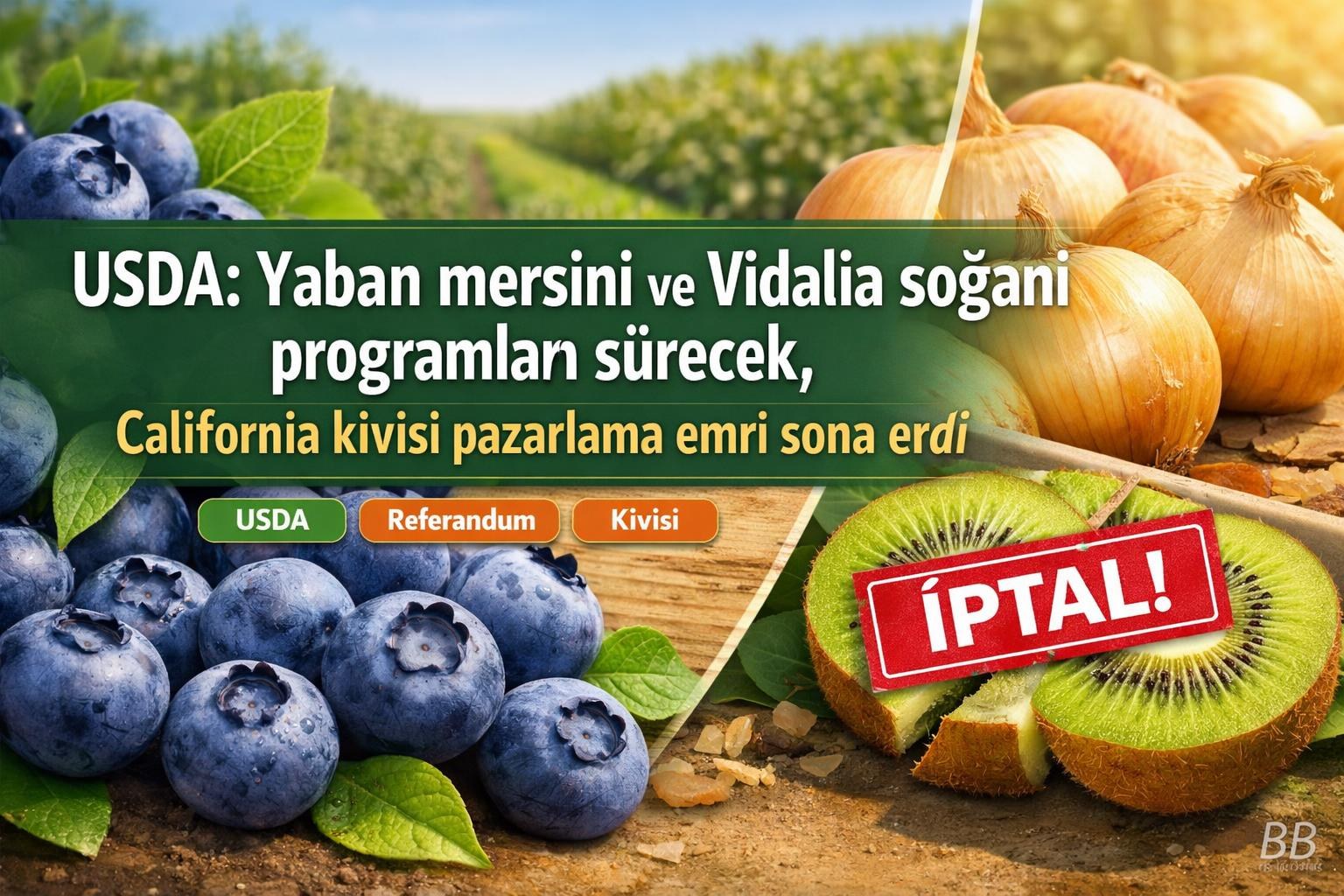 USDA: Yaban mersini ve Vidalia soğanı programları sürecek, California kivisi pazarlama emri sona erdi görseli