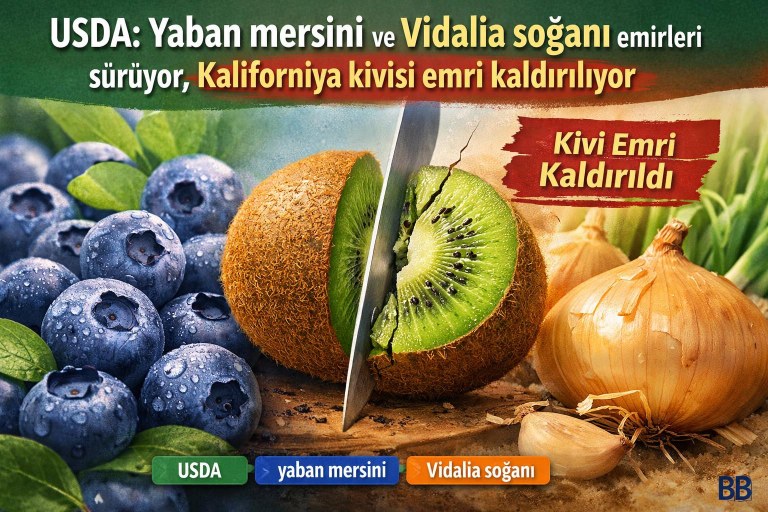 USDA: Yaban mersini ve Vidalia soğanı emirleri sürüyor, Kaliforniya kivisi emri kaldırılıyor görseli