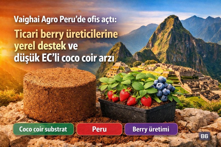 Vaighai Agro Peru’de ofis açtı: Ticari berry üreticilerine yerel destek ve düşük EC’li coco coir arzı görseli