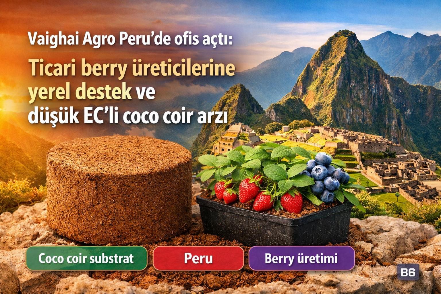 Vaighai Agro Peru’de ofis açtı: Ticari berry üreticilerine yerel destek ve düşük EC’li coco coir arzı görseli