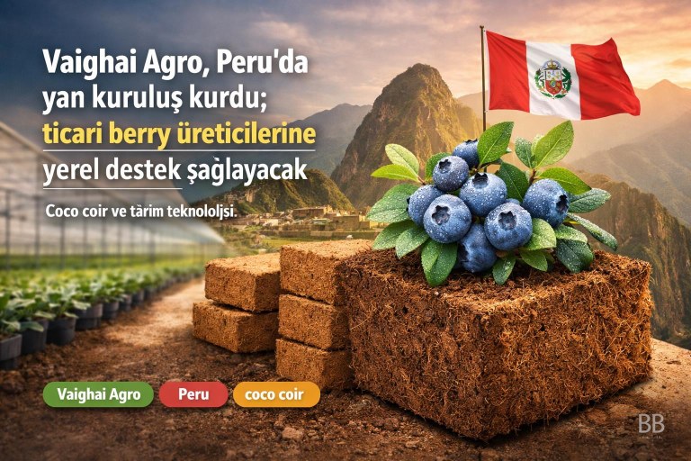 Vaighai Agro, Peru'da yan kuruluş kurdu; ticari berry üreticilerine yerel destek sağlayacak görseli