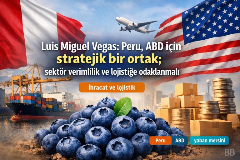 Luis Miguel Vegas: Peru, ABD için stratejik bir ortak; sektör verimlilik ve lojistiğe odaklanmalı görseli