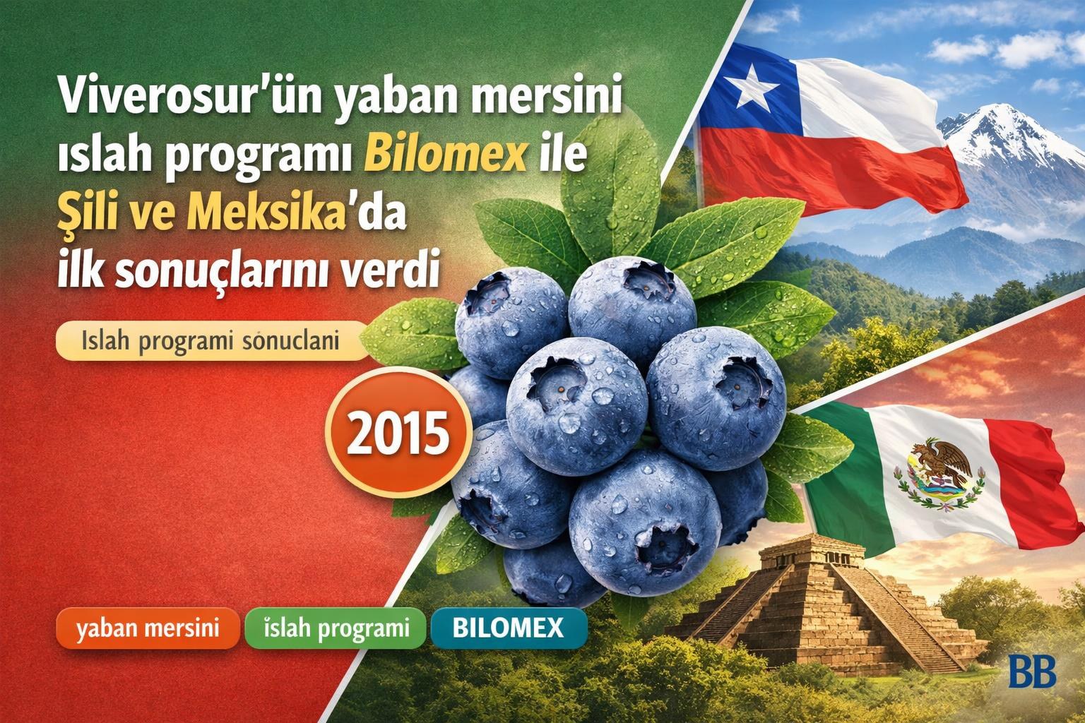 Viverosur'ün yaban mersini ıslah programı Bilomex ile Şili ve Meksika'da ilk sonuçlarını verdi görseli