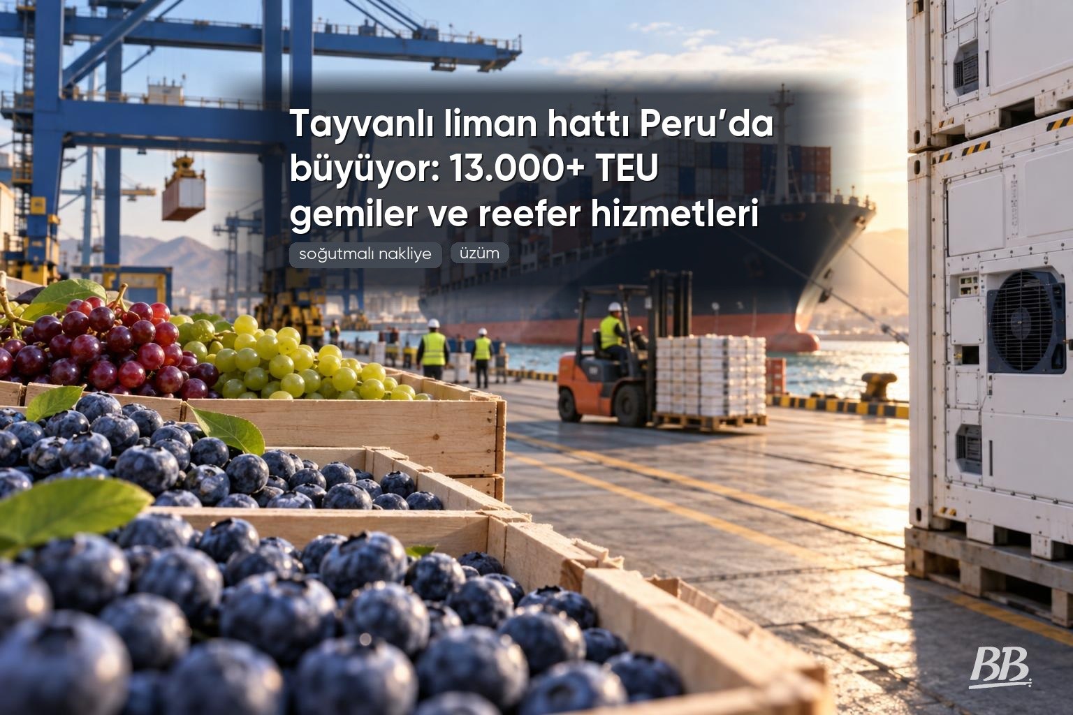 Wan Hai Lines, soğutmalı konteyner kapasitesiyle Peru’dan yaban mersini ihracatına destek veriyor görseli