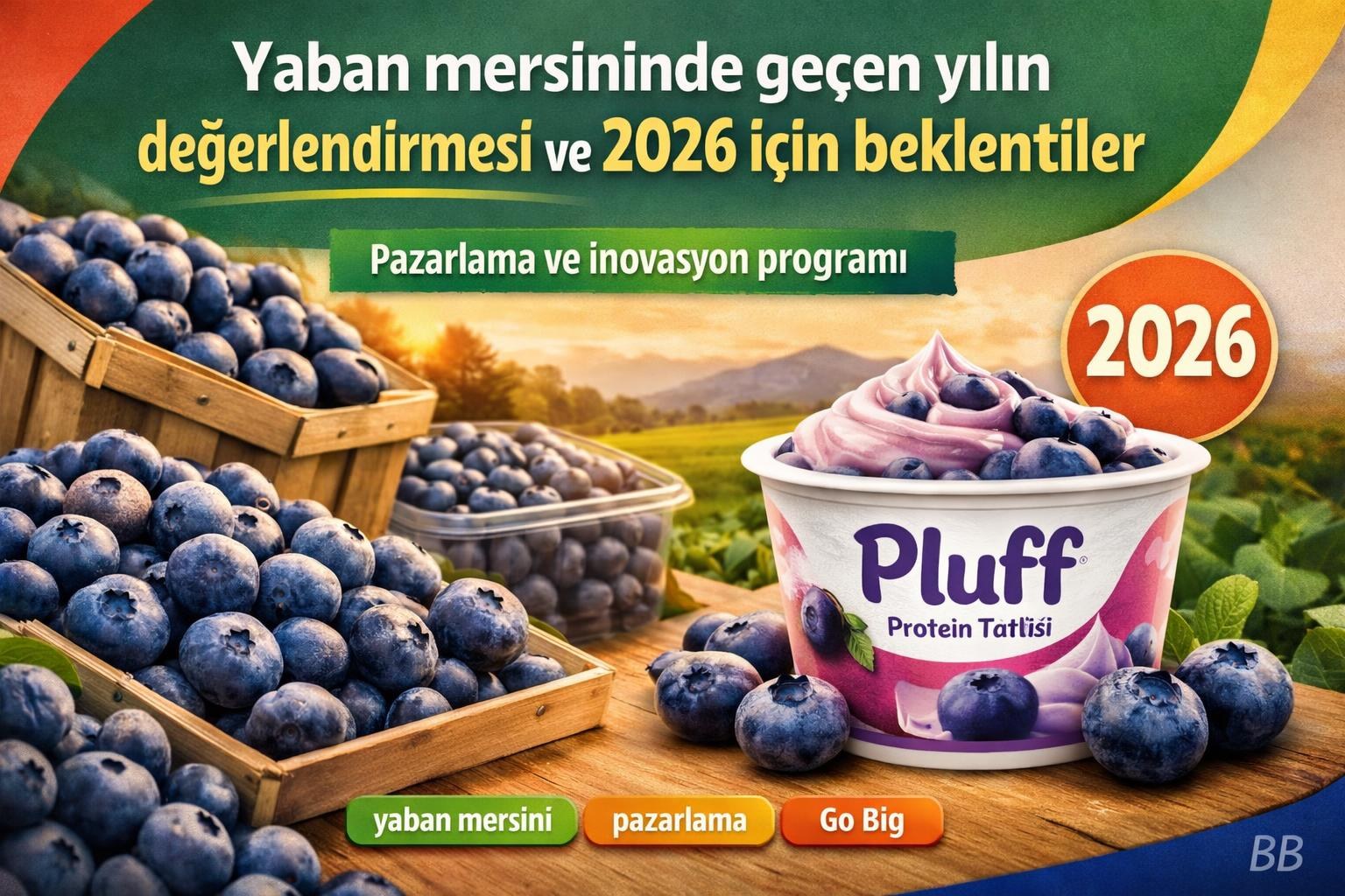 Yaban mersininde geçen yılın değerlendirmesi ve 2026 için beklentiler görseli