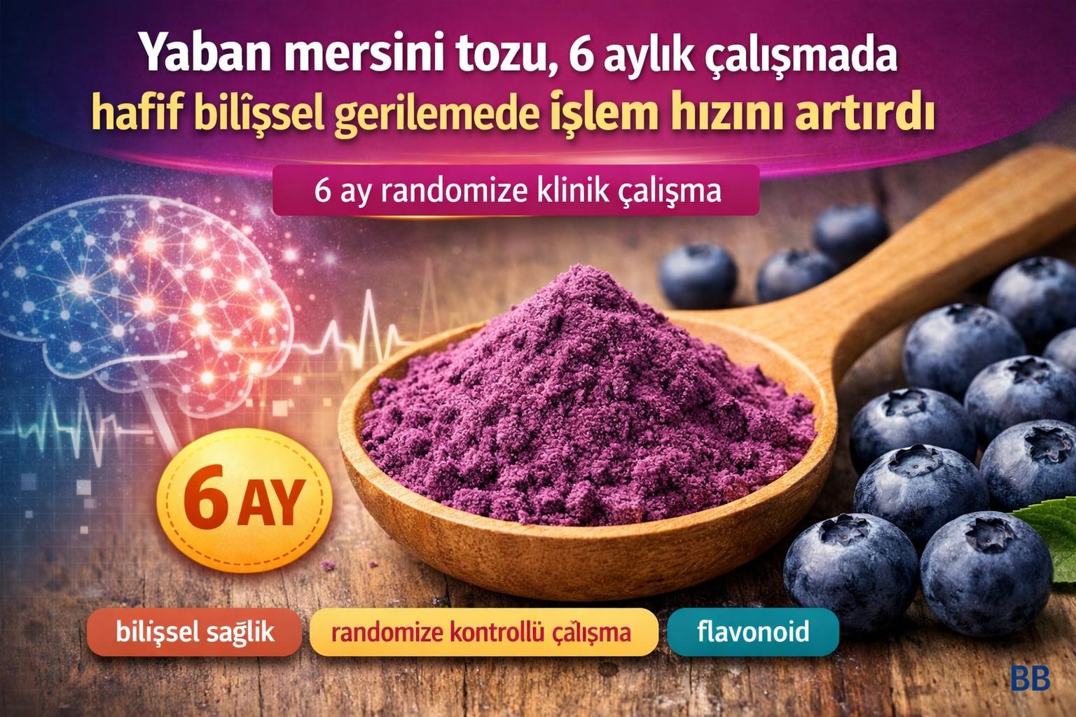 Yaban mersini tozu, 6 aylık çalışmada hafif bilişsel gerilemede işlem hızını artırdı gorseli
