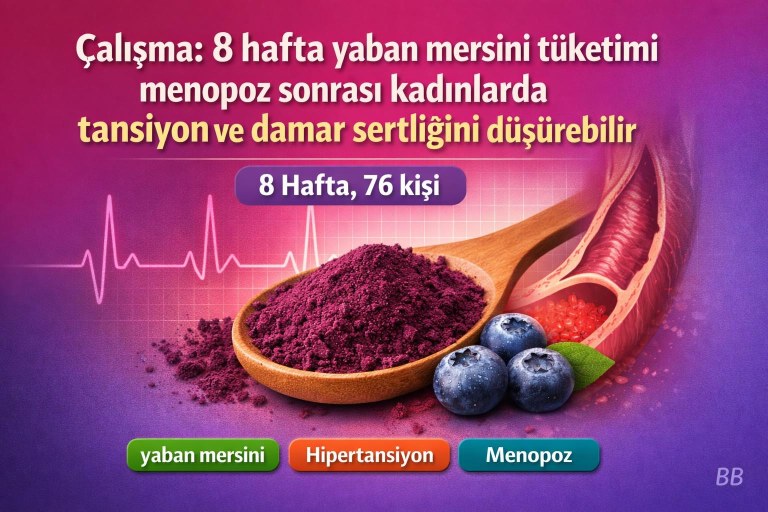 Çalışma: 8 hafta yaban mersini tüketimi menopoz sonrası kadınlarda tansiyon ve damar sertliğini düşürebilir görseli