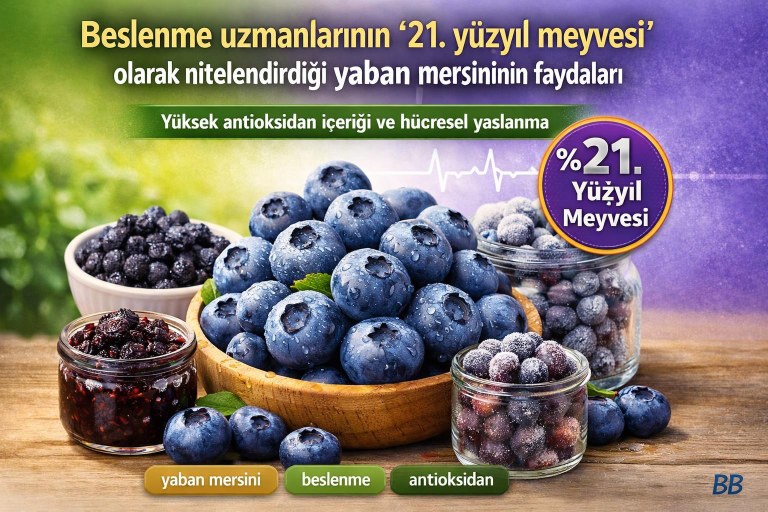 Beslenme uzmanlarının '21. yüzyıl meyvesi' olarak nitelendirdiği yaban mersininin faydaları görseli