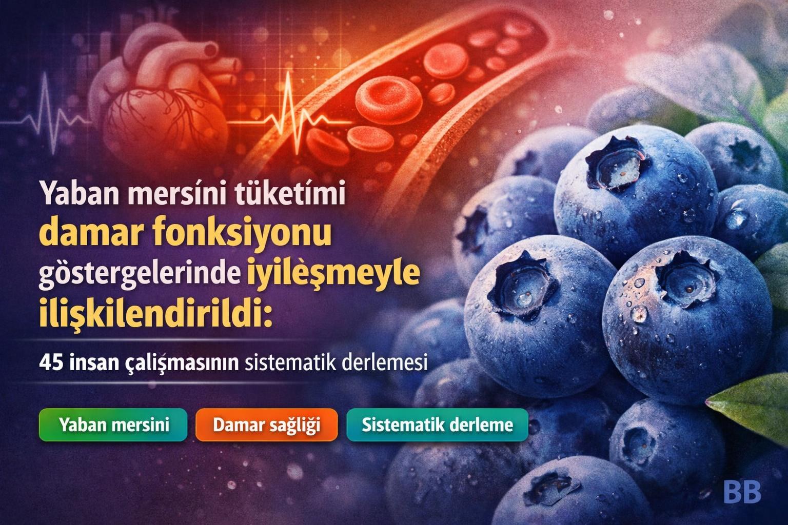 Yaban mersini tüketimi damar fonksiyonu göstergelerinde iyileşmeyle ilişkilendirildi: 45 insan çalışmasının sistematik derlemesi görseli