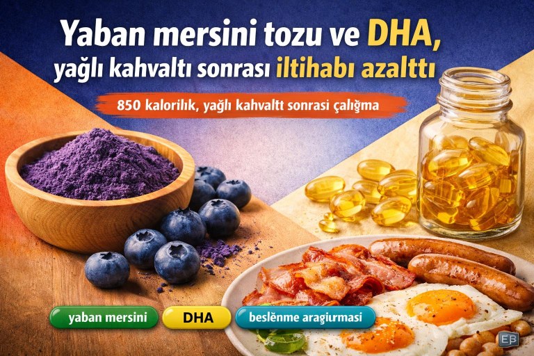 Yaban mersini tozu ve DHA, yağlı kahvaltı sonrası iltihabı azalttı görseli