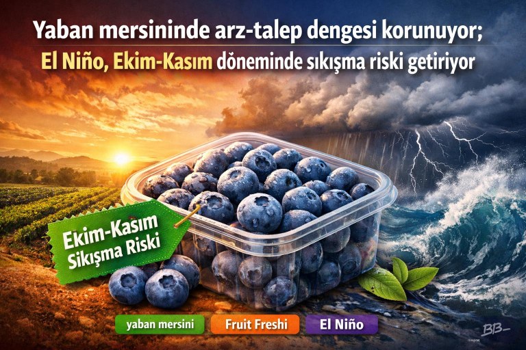 Yaban mersininde arz-talep dengesi korunuyor; El Niño, Ekim-Kasım döneminde sıkışma riski getiriyor görseli