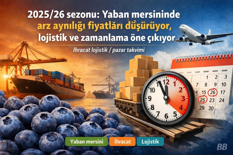 2025/26 sezonu: Yaban mersininde arz aynılığı fiyatları düşürüyor, lojistik ve zamanlama öne çıkıyor görseli