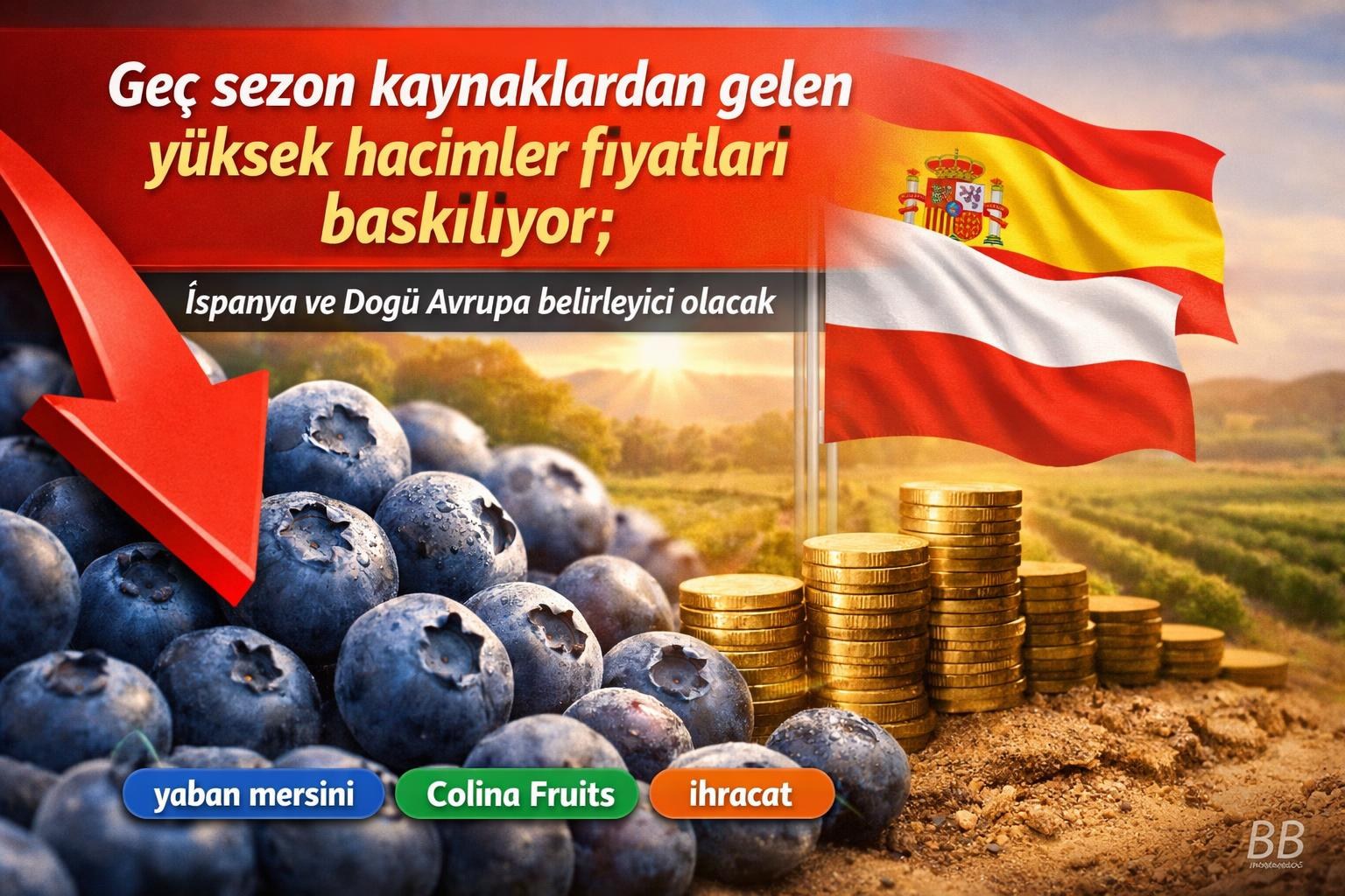 Geç sezon kaynaklardan gelen yüksek hacimler fiyatları baskılıyor; İspanya ve Doğu Avrupa belirleyici olacak gorseli