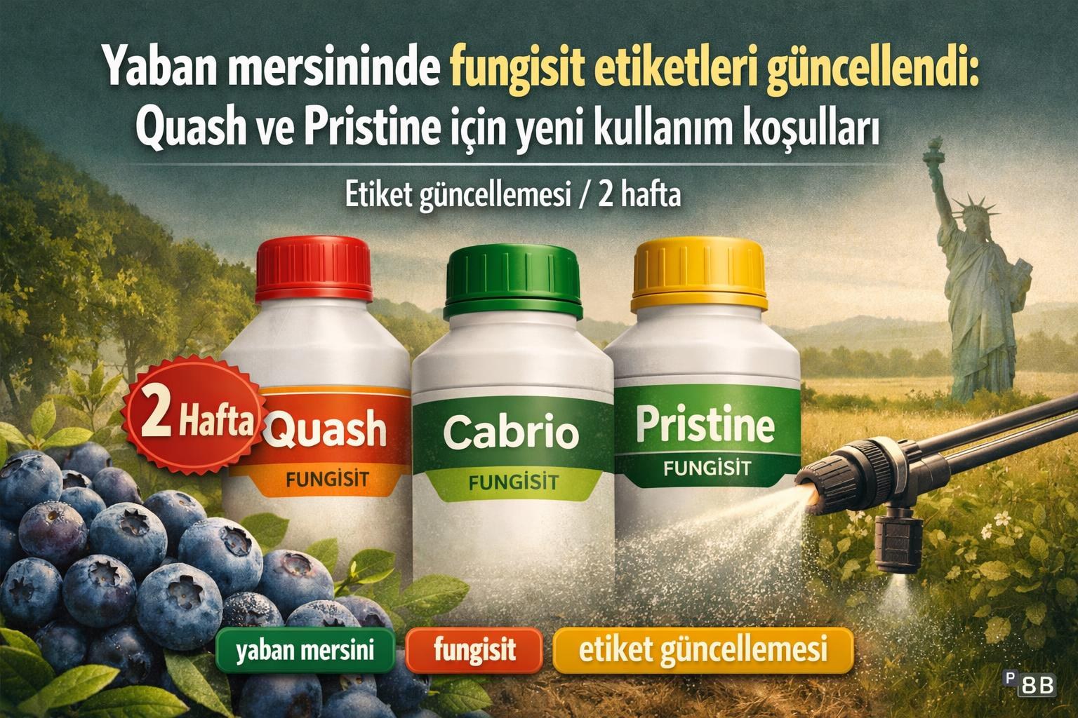 Yaban mersininde fungisit etiketleri güncellendi: Quash ve Pristine için yeni kullanım koşulları görseli